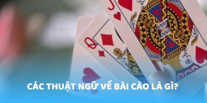 Những thông tin cơ bản về game bài cào